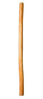Medium Size Natural Finish Didgeridoo (TW1683)